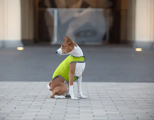 Куртка-накидка для собак AiryVest, XL, B 68-80 см, С 42-52 см салатовий [CD] - фото 8