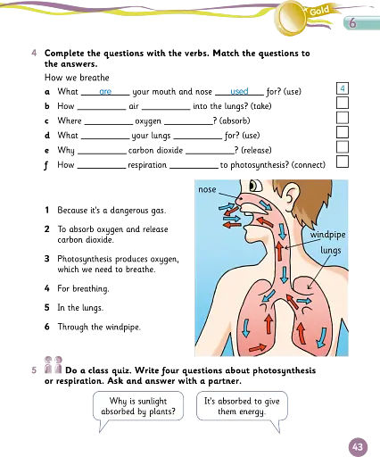 Grammar Goals. Level 5. Pupil's Book Pack - фото 8