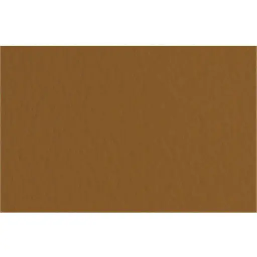 Бумага для пастели Fabriano Tiziano A4 (21х29.7см) №09 caffe 160г/м2 коричневый среднее зерно - фото 1