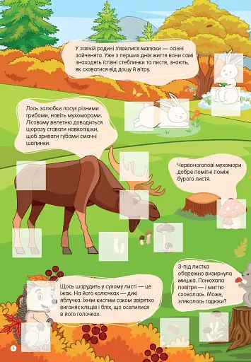 Світ навколо: У лісі - фото 2