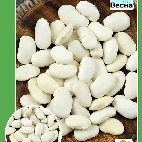 Квасоля "Файний Ясь" (Великий пакет) ТМ "Весна" 5г (23632) - фото 1