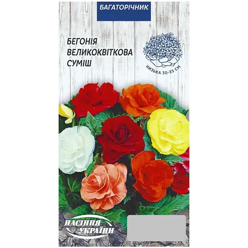 Бегония Семена Украины Великоцветковая 10 шт семян смесь   - фото 1