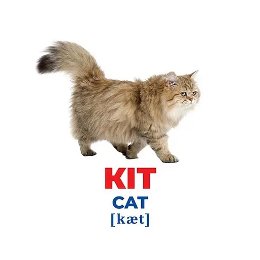 Набір розвиваючих карток Геній з пелюшок "Домашні тварини" Ранок 10107191У, 17 карток - фото 3