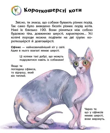 Коти. Енциклопедія дошкільника - фото 2