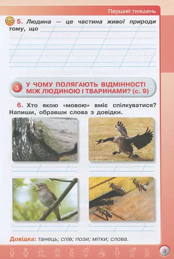 Я досліджую світ 3 клас. Робочий зошит. Частина 1 - фото 4