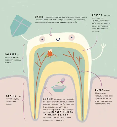 Книжка про зуби - фото 4