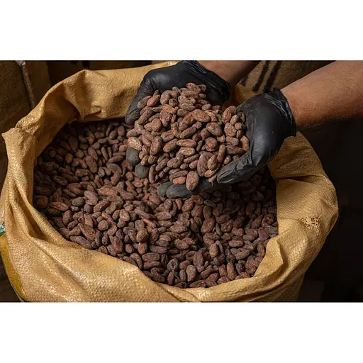 Какао-боби Dominican Republic Duarte Villa Riva обсмажені 1 кг - фото 4