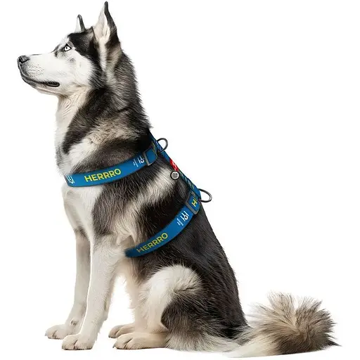 Шлея для собак Waudog Nylon анатомічна H-подібна з QR-паспортом, малюнок "Патрон", пластиковий фастекс, розмір XL - фото 3