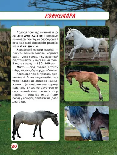 Світ навколо нас. Коні - фото 3