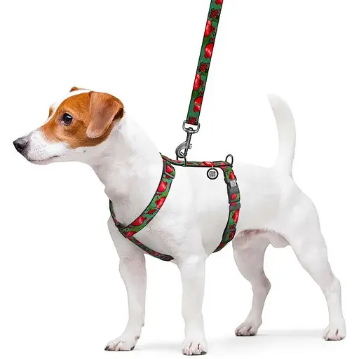 Шлея для собак Waudog Nylon анатомічна H-подібна з QR-паспортом, малюнок "Гранати", пластиковий фастекс, M - фото 3