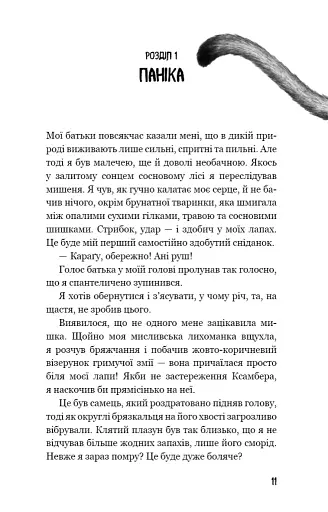 Діти лісу. Незвіданий край. Книга 4 - фото 5