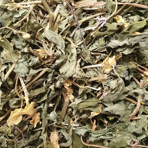 100 г анемона жовтецева/вітряниця трава сушена - свіжий урожай