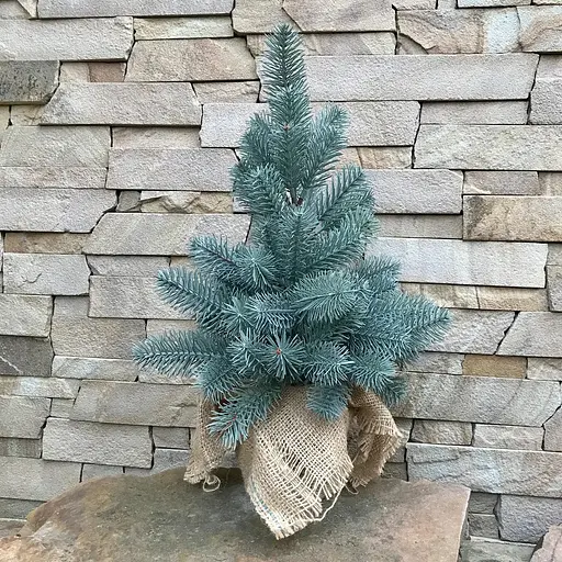 Елка Hvoya Premium литая в мешковине 50 см голубая - фото 3