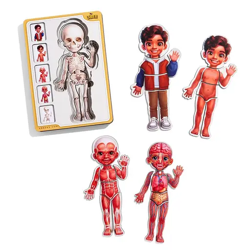 Дерев'яний пазл-вкладиш "Анатомія людини - хлопчик-2" Ubumblebees (ПСД261) PSD261 будова тіла - фото 1