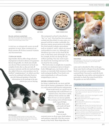 The Cat Encyclopedia - фото 23