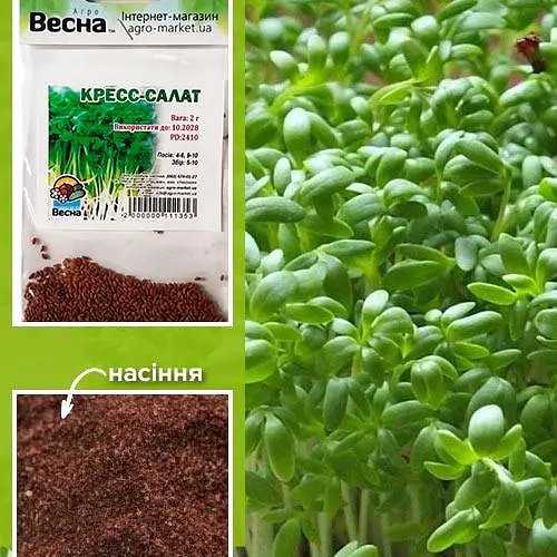 Кресс-салат (Зипер) ТМ "Весна" 2г (17930) - фото 1