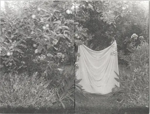 Я еду домой есть шелковицу с дерева - фото 3