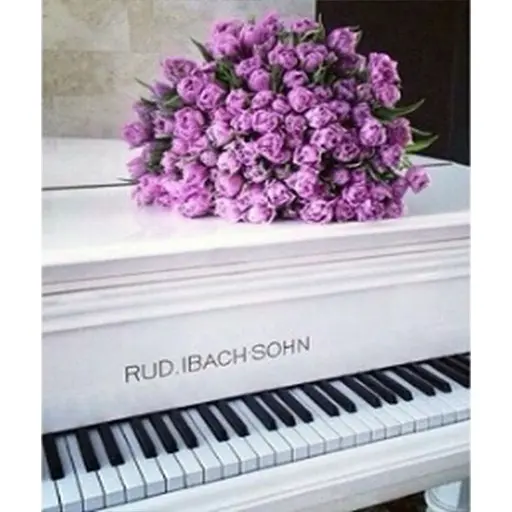 Алмазна вишивка Алмазна мозаїка 40 * 50 см на підрамніку Весняна мелодія 40 * 50 см - фото 1