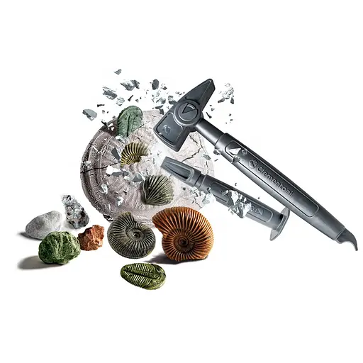 Науковий набір Палеонтологічні розкопки - Clementoni 50866 - фото 2