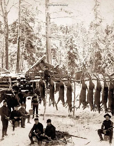 Hunting: The Ultimate Book - фото 7