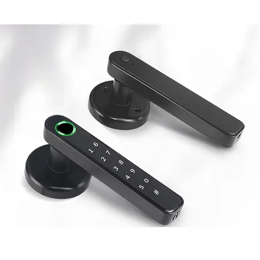 Биометрический умный кодовый смарт замок на межкомнатную дверь Badodo Security 196 - фото 2