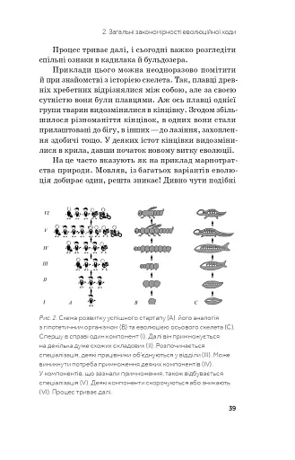Слідуй за розбитим черепом. Історія еволюції скелета - фото 10