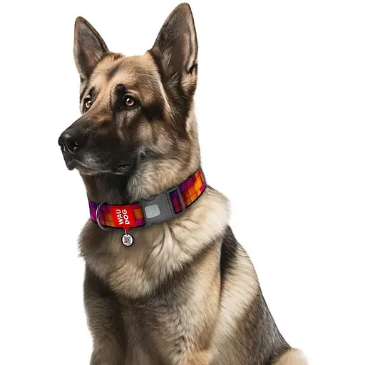Нашийник для собак нейлоновий Waudog Nylon з QR паспортом Куби 3Д XXL 3.5х46-70 см - фото 3