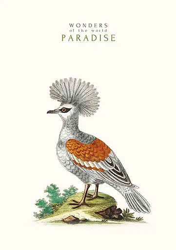 Комплект 3 шт общих тетрадей. Тетрадь Школярик А4 40 л. в линию 545 4823088203325 - фото 4