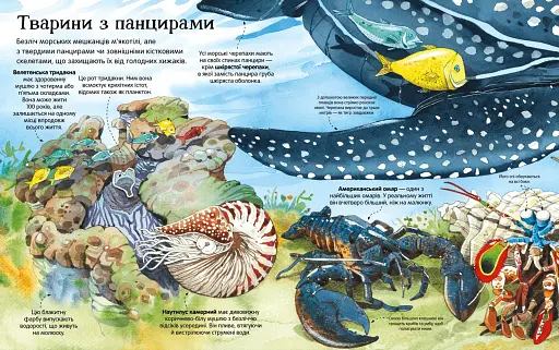 Велика книга морських мешканців - фото 3