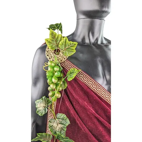 Тога грецька Бахус - фото 3