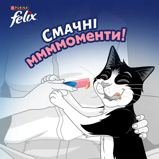 Уценка. Влажный корм для взрослых кошек Felix вкусные моменты дополнительный с лососем 4 шт. х 10 г - фото 8