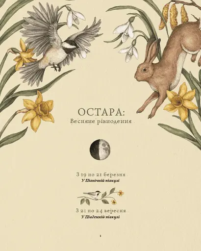 Колесо року. Ілюстрований путівник ритмами природи - фото 7