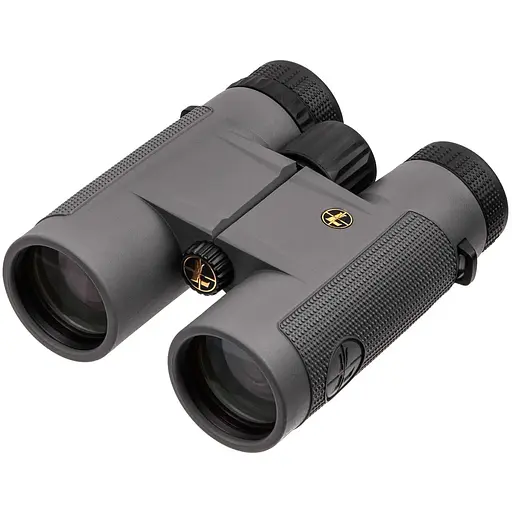 Бинокль Leupold BX-1 McKenzie 10x42 Roof темно-серый