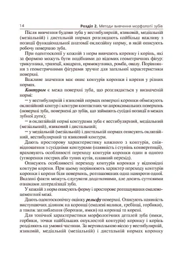 Основи клінічної морфології зубів - фото 5