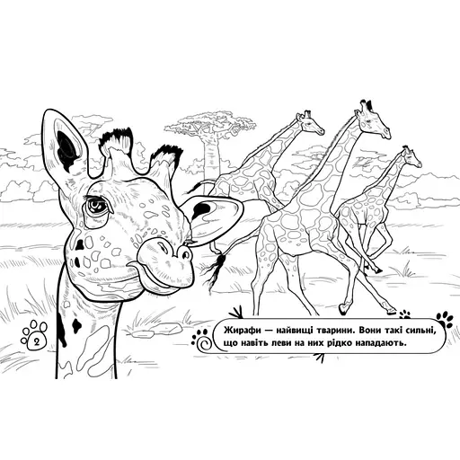 Дитяча розмальовка "Тварини у далеких краях" 583009, 16 сторінок - фото 4