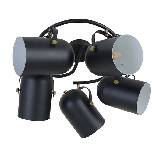 Светильник Brille потолочный спот поворотный HTL-209/5G E27 BK