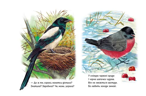 Книга Поруч з нами. Малятам про звіряток. Автор - Григорій Меламед (Ранок) - фото 4