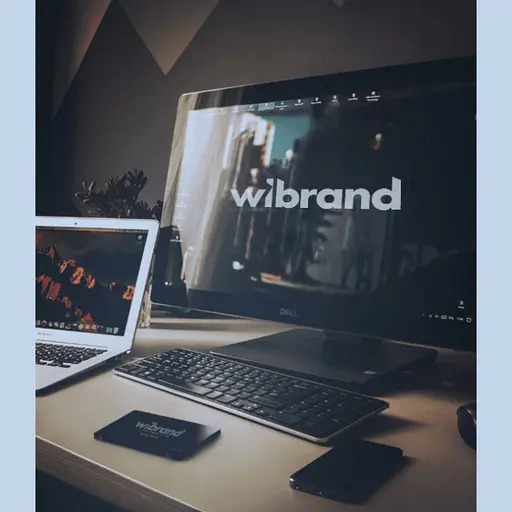 Накопичувач SSD Wibrand Spider 960 GB 2.5" 7 mm SATA3 - фото 2