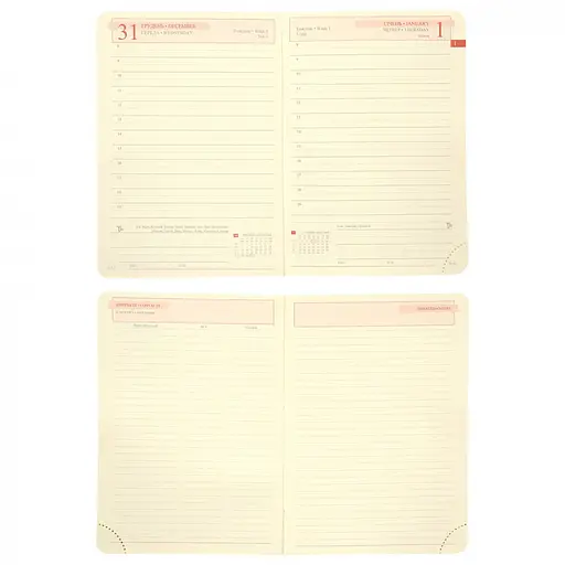 Записная книжка А6 Leo Planner Aldento датирована 352 страницами (252674) - фото 10