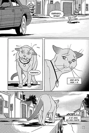 Коти-вояки. Манґа 5. Тигрозір і Саша. У ліси! - фото 4