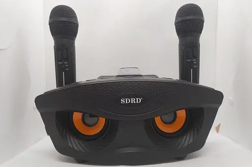 Портативная караоке система SDRD SD-306 с колонкой и двумя микрофонами - фото 2