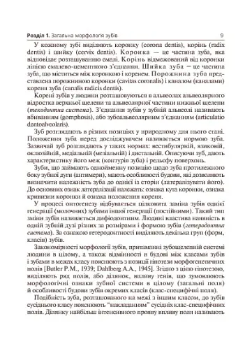 Основи клінічної морфології зубів - фото 10