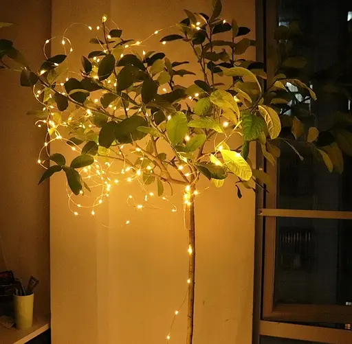 Світлодіодна гірлянда Sun Lamp Крапля Роси 100 LED, 10м тепле біле світло, батарейки 3 АА - фото 6