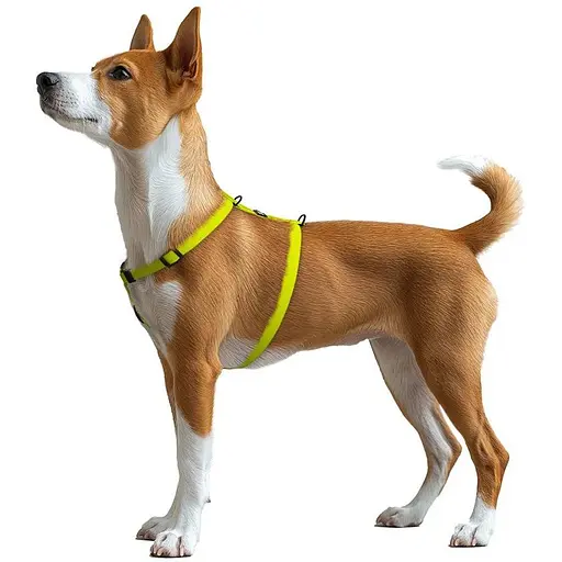 Шлейка для собак Waudog Magnet водостойкая анатомическая Н-образная с QR-паспортом, магнитная пряжка-фастекс, S - фото 6