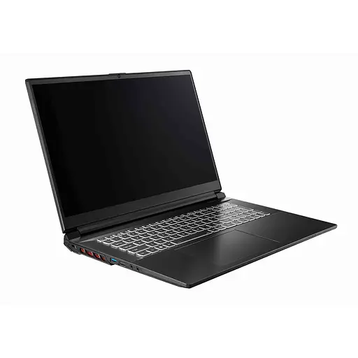 Ноутбук Clevo DreamMachines RG3050-17EU50 i5-13500h 17.3” /RTX3050/500 GB M.2 /16 GB - фото 5