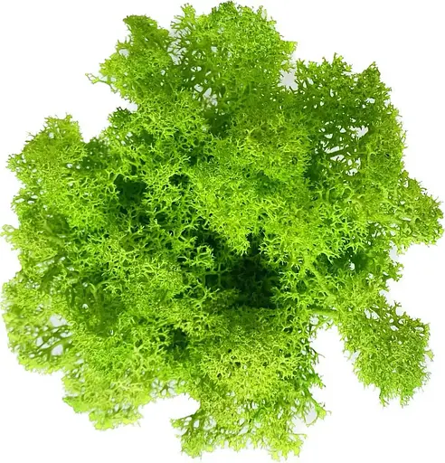 Кашпо горшочек со стабилизированным мхом Грут Groot G3 - фото 6