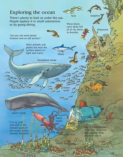 First Encyclopedia of Our World - фото 5