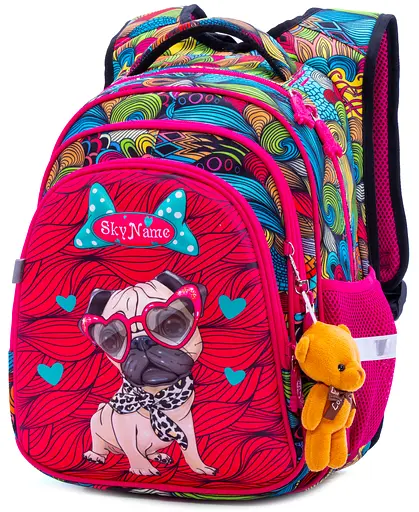 Ортопедичний рюкзак Winner / SkyName для дівчинки 38х29х16 для 1 класу R2-174