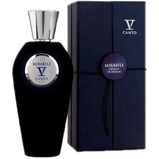 Парфюмированная вода оригинал V Canto Mirabile 100 мл - фото 1