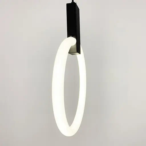 Кільцевий підвіс у чорному корпусі Ø 30 см | Арт. MJ 135-300 | Line F - фото 2